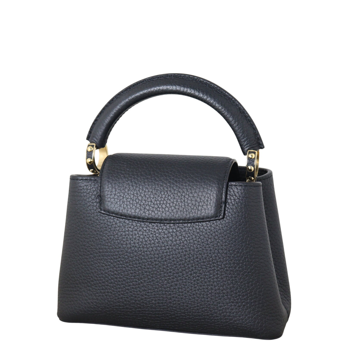 Louis Vuitton Capucines Mini_IMG_4868.jpeg
