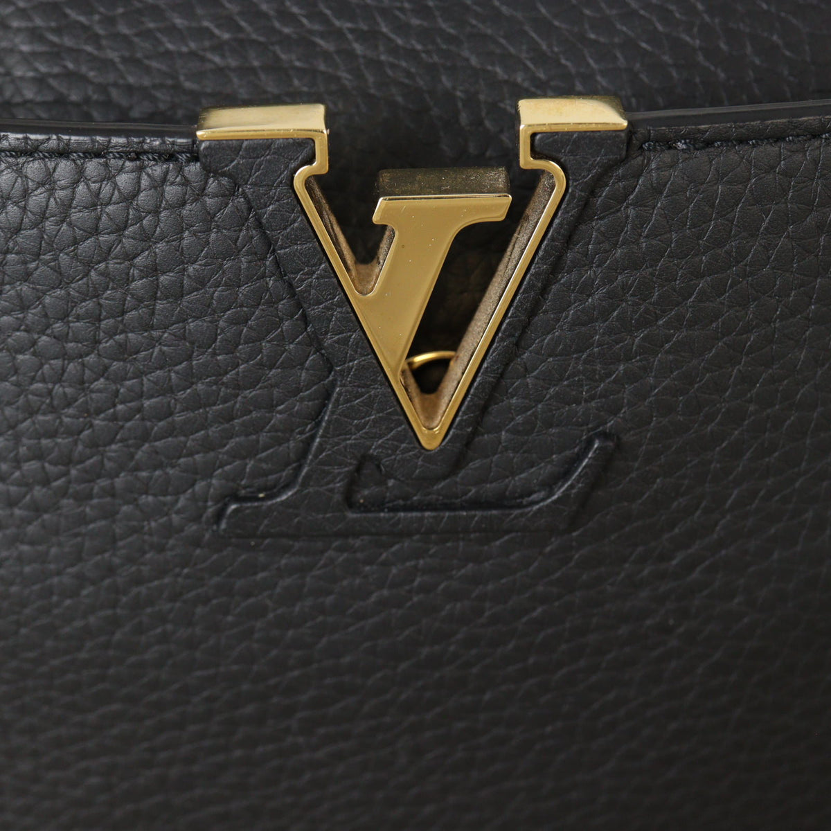 Louis Vuitton Capucines Mini_IMG_4871.jpg