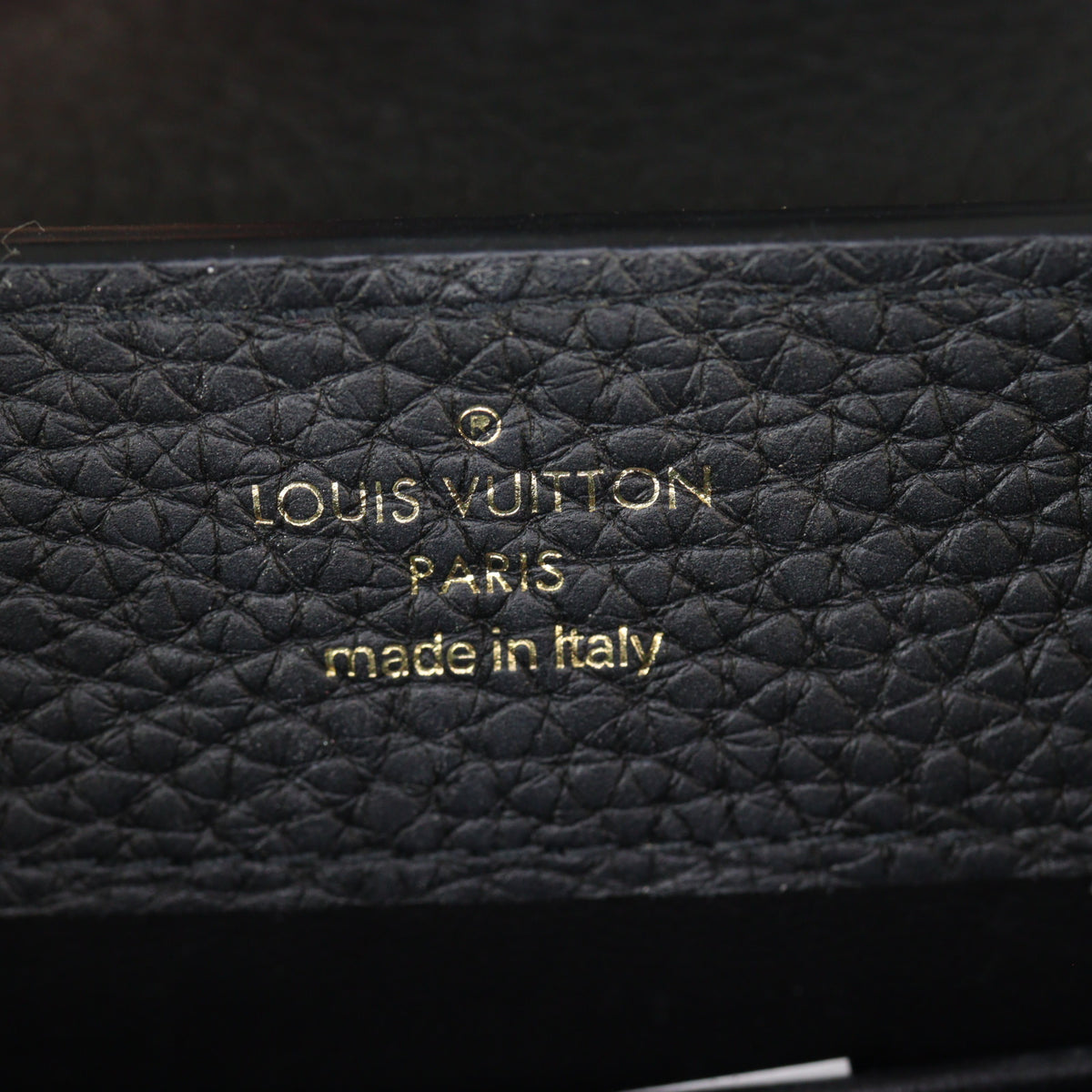Louis Vuitton Capucines Mini_IMG_4872.jpg