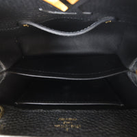 Louis Vuitton Capucines Mini_IMG_4873.jpg