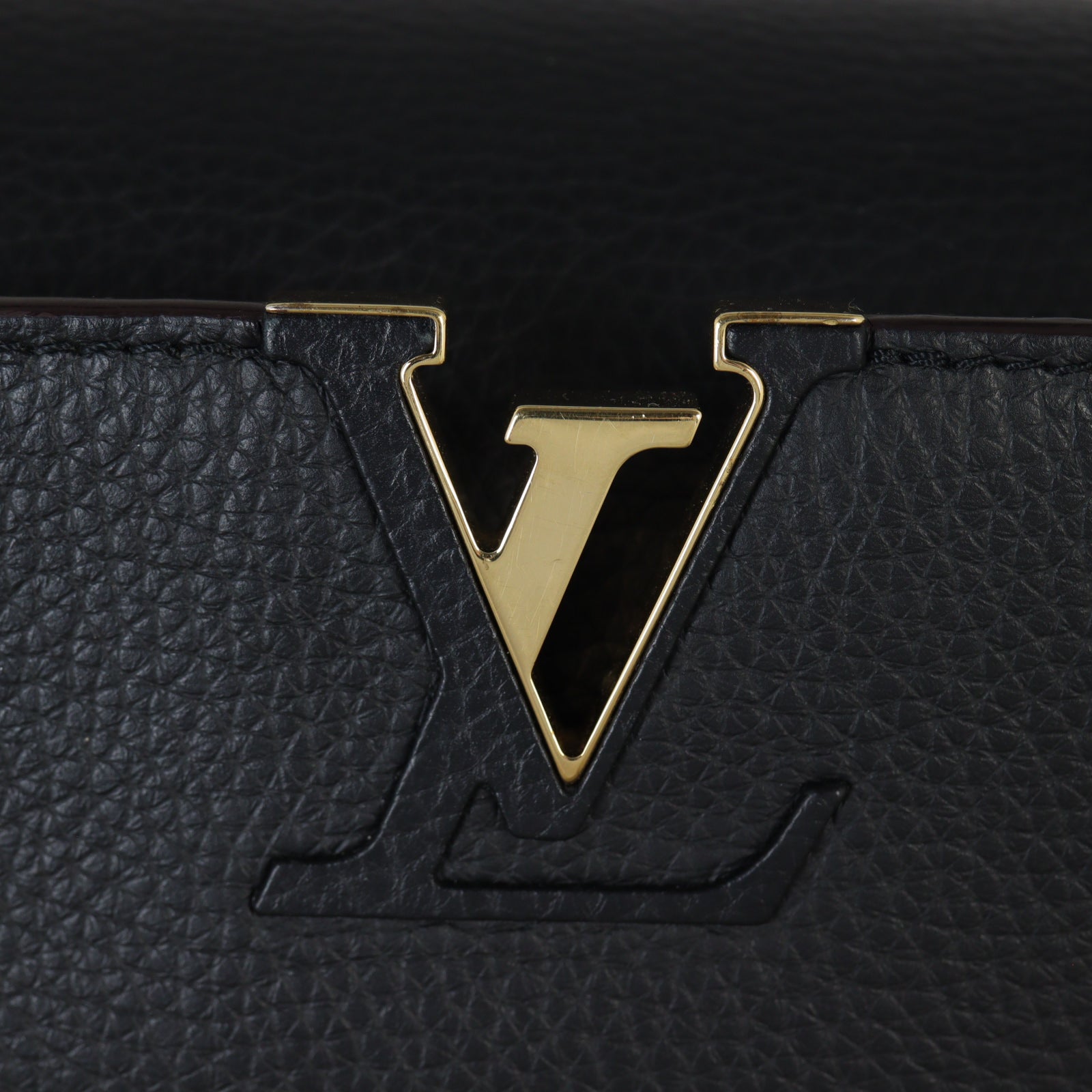 Louis Vuitton Capucines PM_IMG_7276.jpg