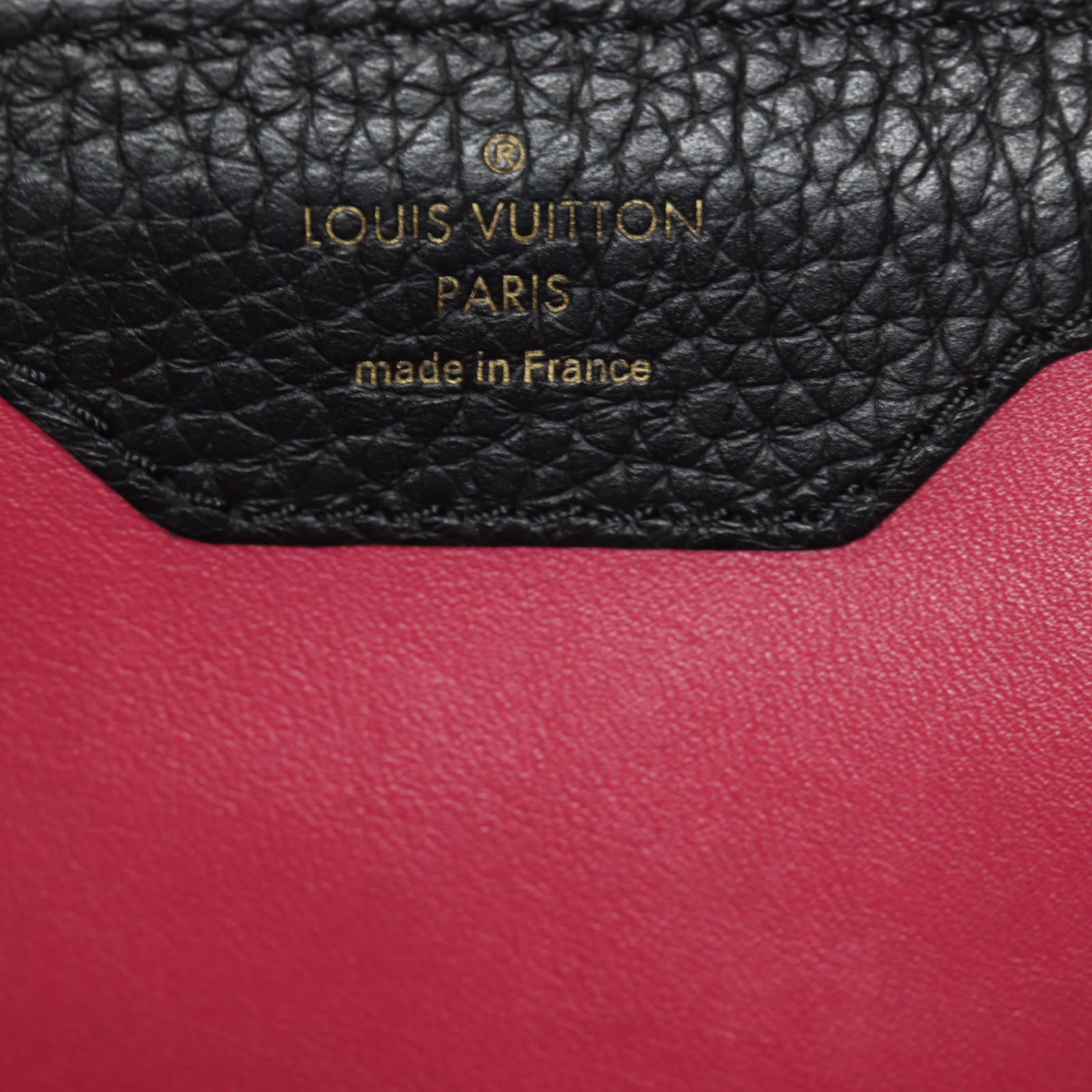 Louis Vuitton Capucines PM_IMG_7278.jpg