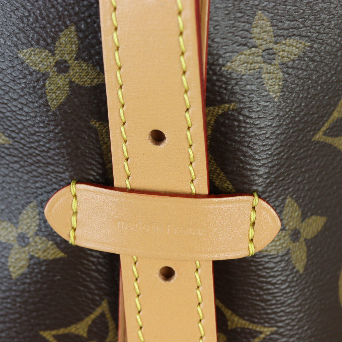 Louis Vuitton CarryAll MM Monogram_IMG_5956.jpg