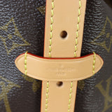Louis Vuitton CarryAll PM Monogram_IMG_6807.jpg