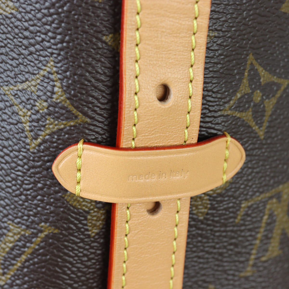 Louis Vuitton CarryAll PM Monogram_IMG_6808.jpg