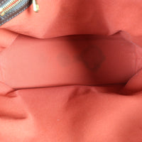 Louis Vuitton Chelsea Damier Ebene_IMG_3530.jpg