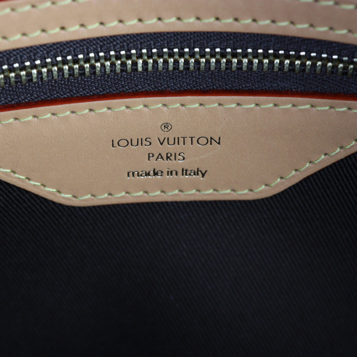 Louis Vuitton Cite NM Monogram_IMG_4340.jpg
