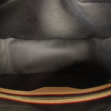 Louis Vuitton Cite NM Monogram_IMG_4341.jpg