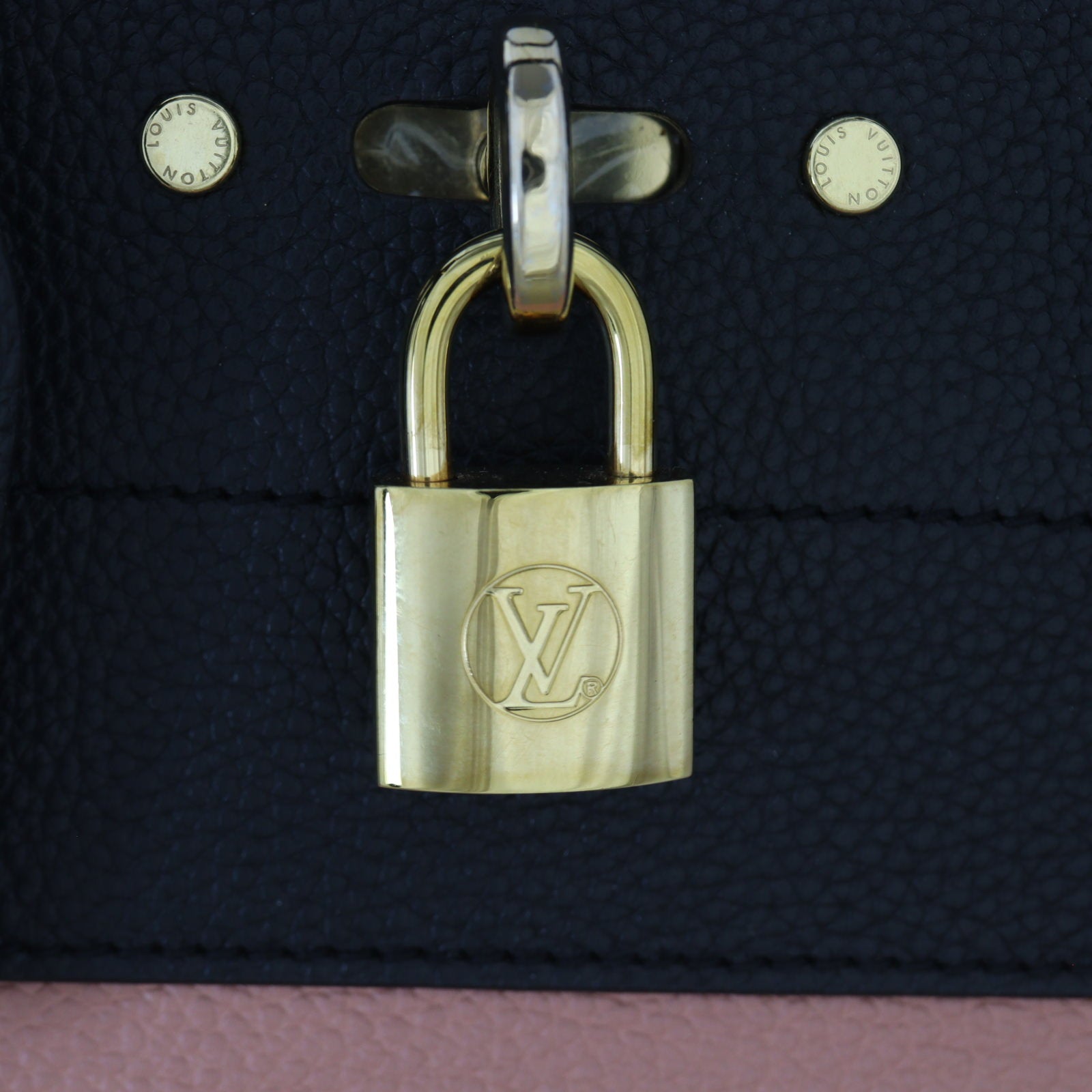 Louis Vuitton City Steamer MM_IMG_2618.jpg