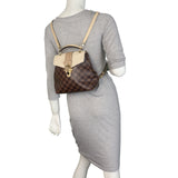 Louis Vuitton Clapton Backpack Damier Ebene_IMG_2877.jpeg