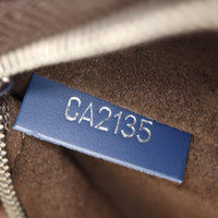 Louis Vuitton Cluny MM Epi_IMG_5172.jpg