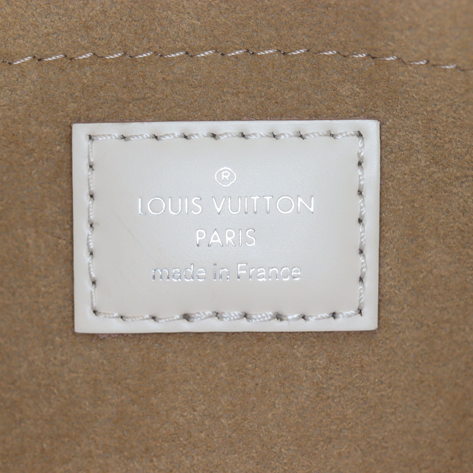 Louis Vuitton Cluny Mini Epi with Embroidered Strap_IMG_2153.jpg