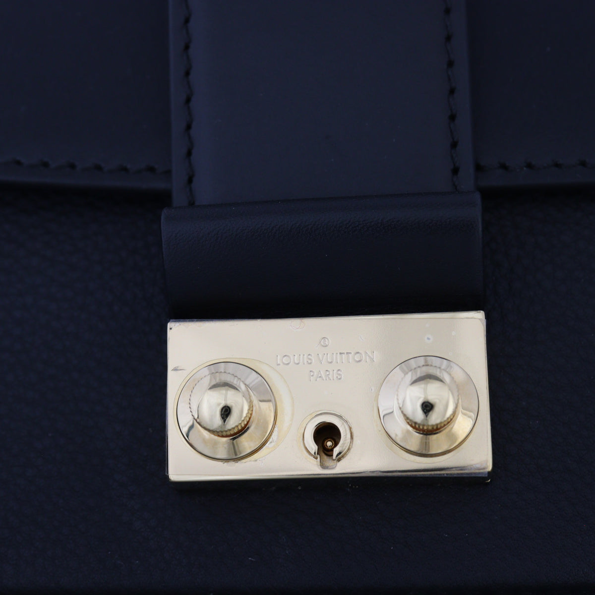 Louis Vuitton Cour Marly MM Taurillon_IMG_9608.jpg