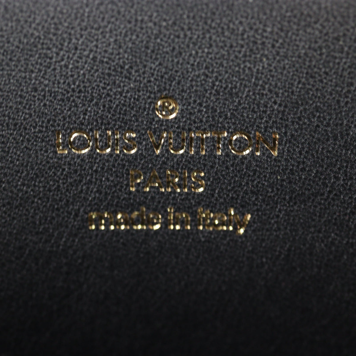 Louis Vuitton Cour Marly MM Taurillon_IMG_9611.jpg