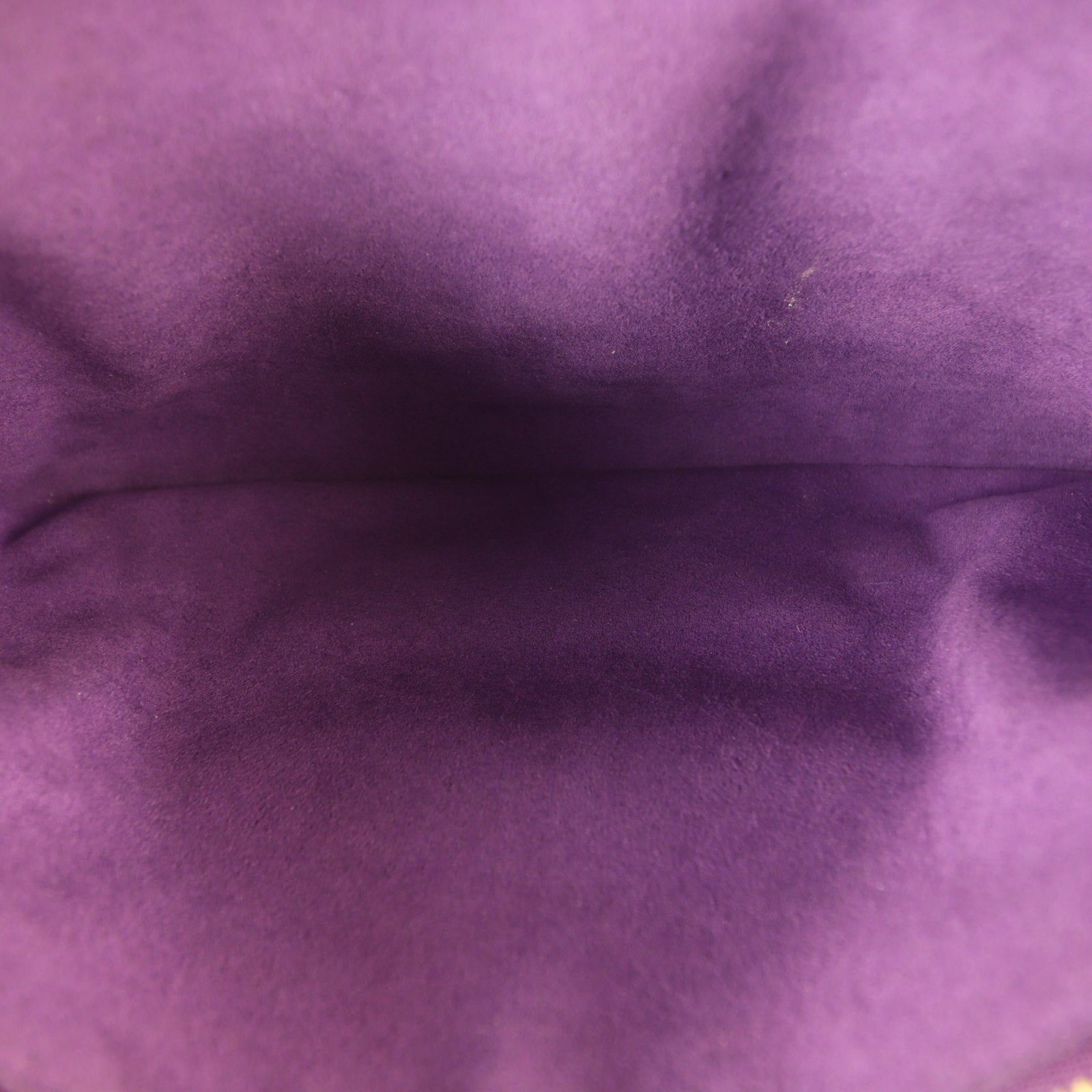 Louis Vuitton Coussin PM Monogram Embossed Lambskin_IMG_7059.jpg
