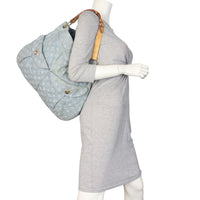 Louis Vuitton Daily GM Denim Monogram_IMG_9837.jpeg
