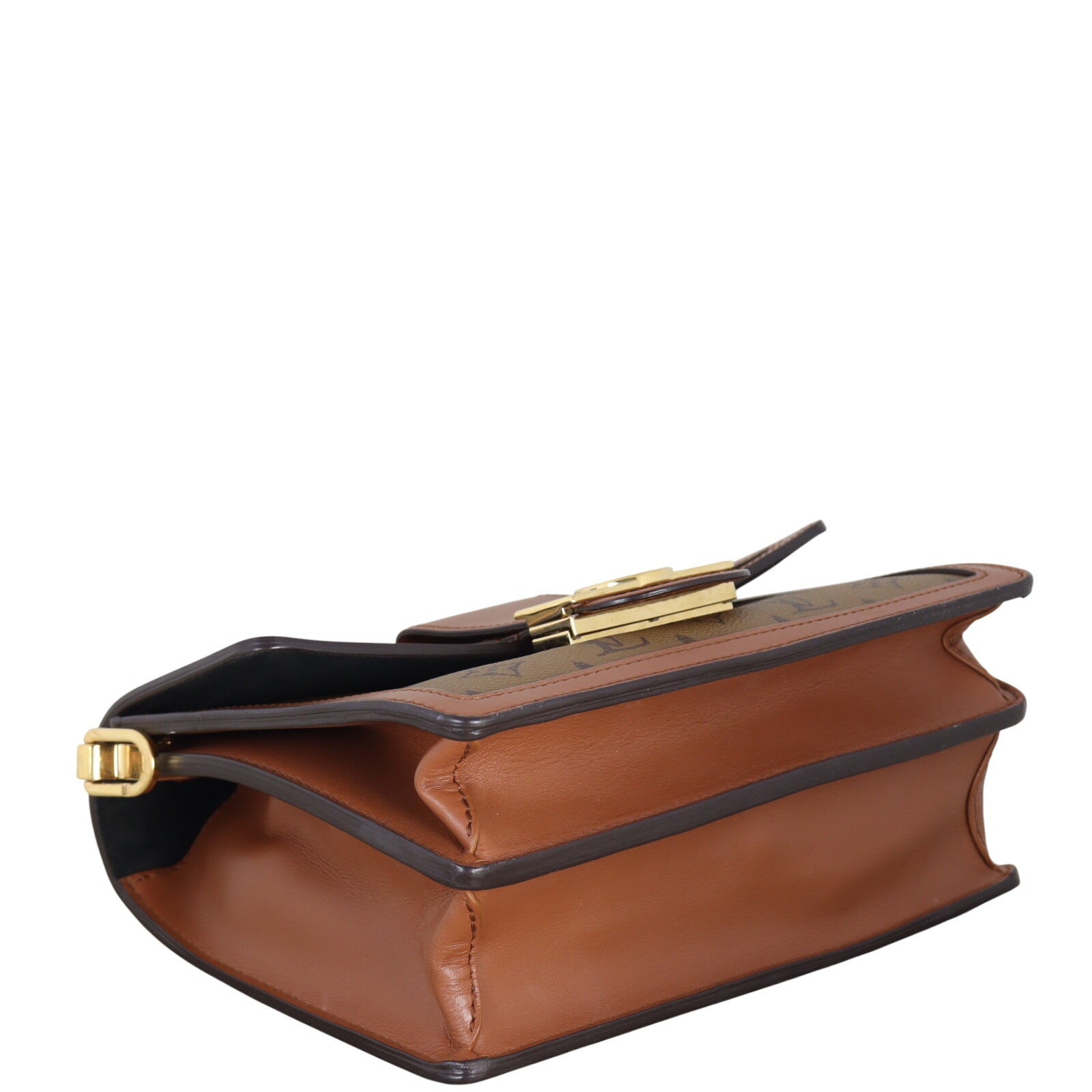 Louis Vuitton Dauphine MM Monogram Reverse_IMG_9909.jpeg