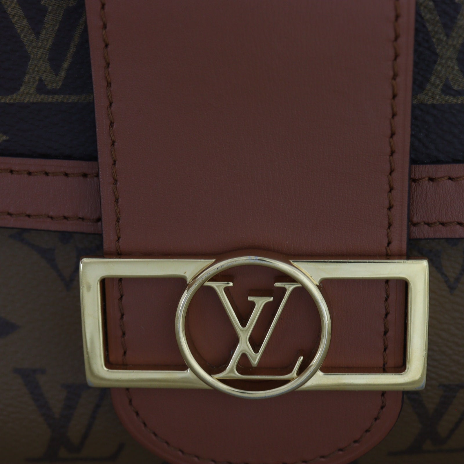 Louis Vuitton Dauphine MM Monogram Reverse_IMG_9910.jpg