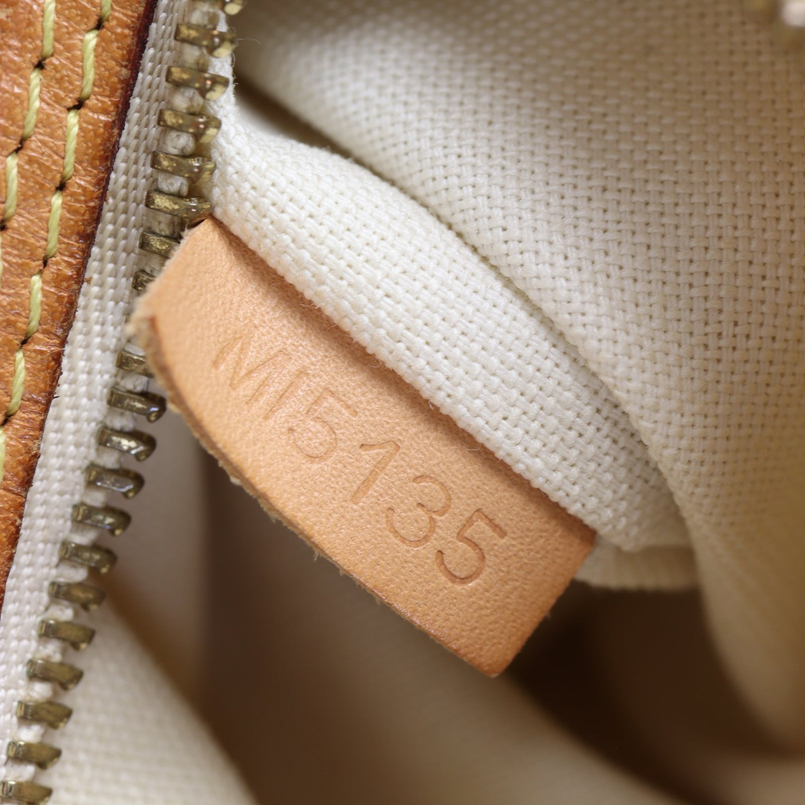 Louis Vuitton Delightful MM Damier Azur_IMG_1193.jpg