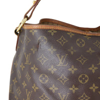 Louis Vuitton Delightful MM Monogram_IMG_5047.jpeg