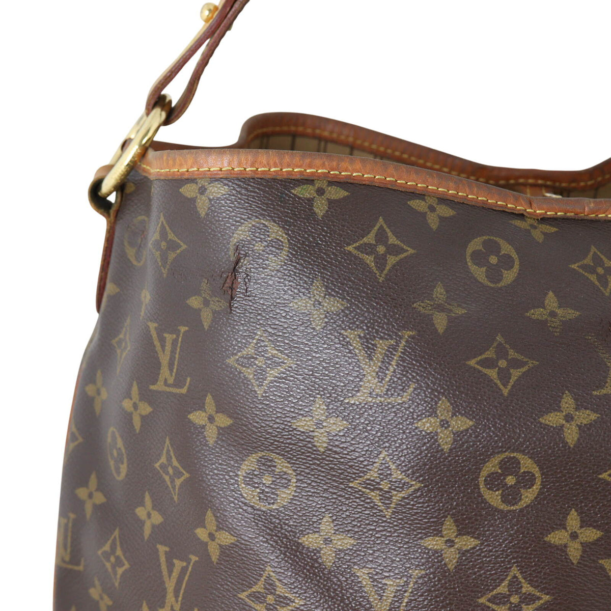 Louis Vuitton Delightful MM Monogram_IMG_5047.jpeg