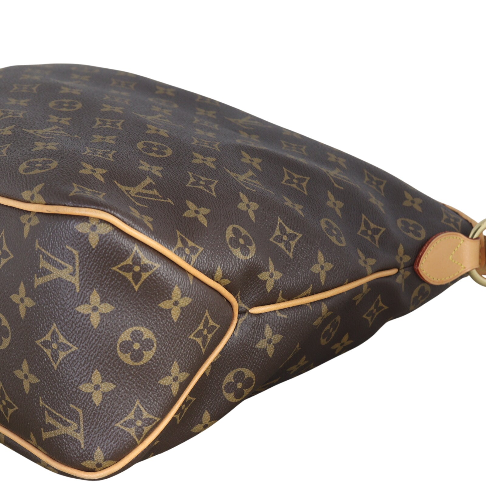 Louis Vuitton Delightful MM Monogram_IMG_9723.jpeg