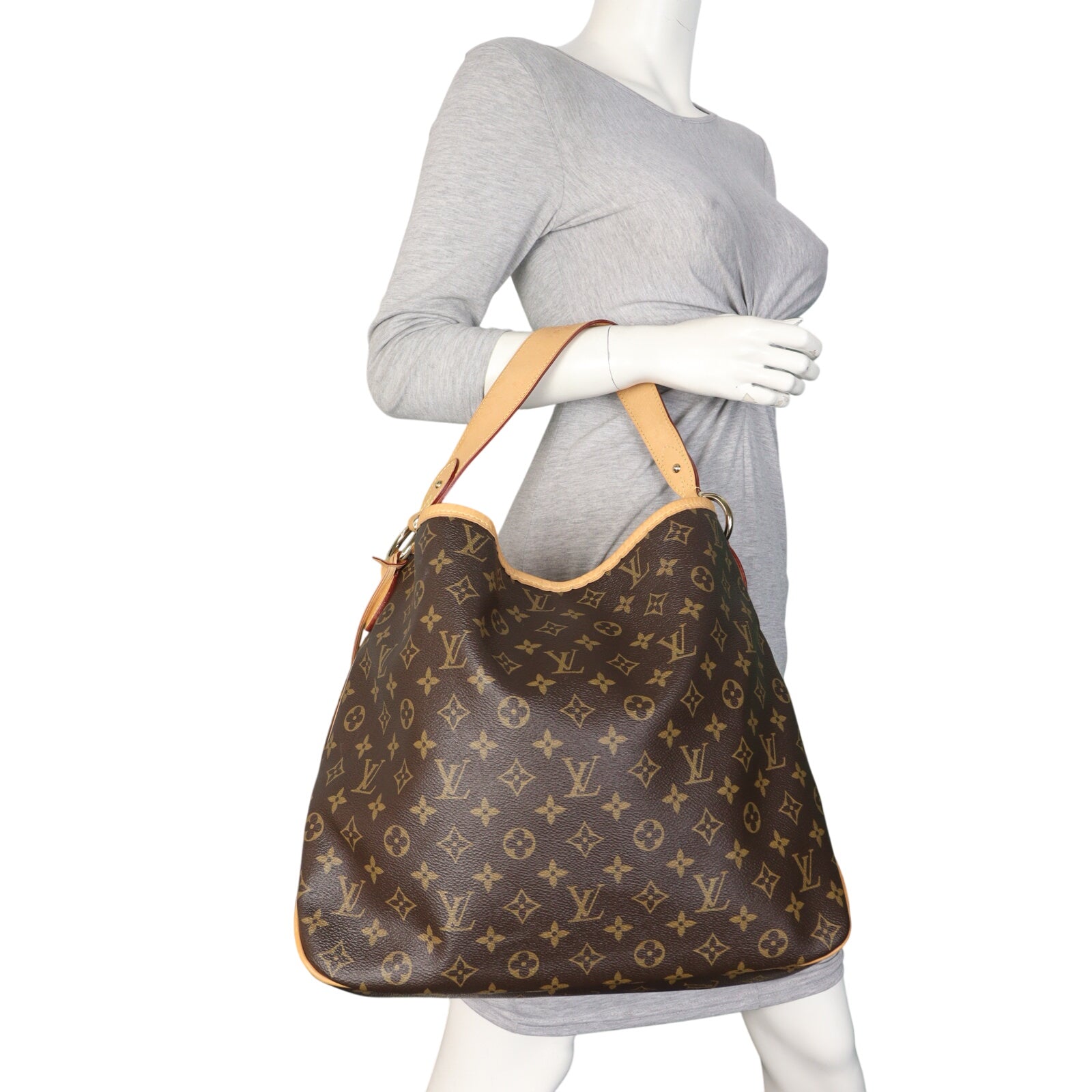 Louis Vuitton Delightful MM Monogram_IMG_9829.jpeg
