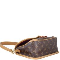 Louis Vuitton Diane Monogram_IMG_1828.jpeg