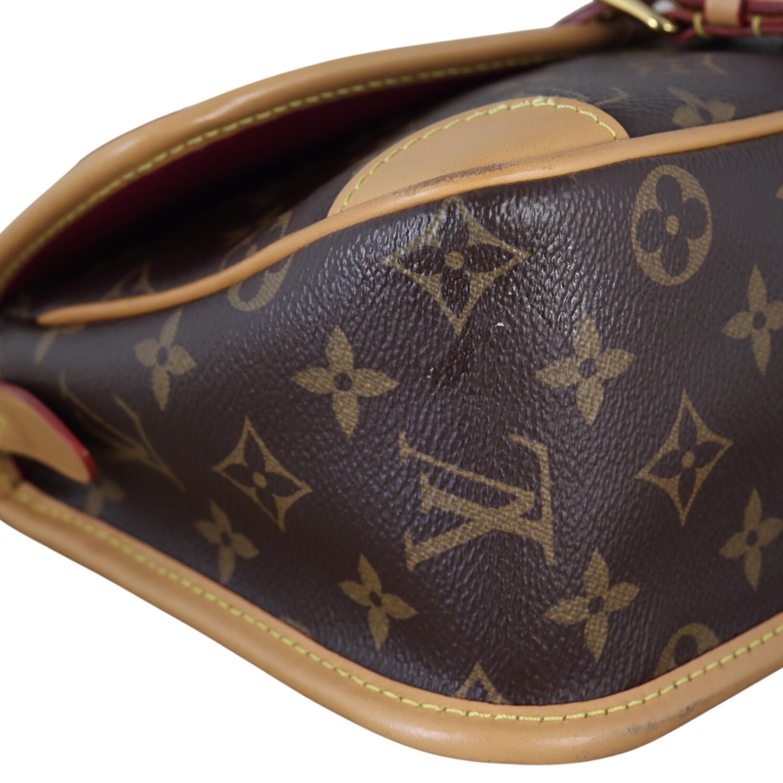Louis Vuitton Diane Monogram_IMG_1829.jpg