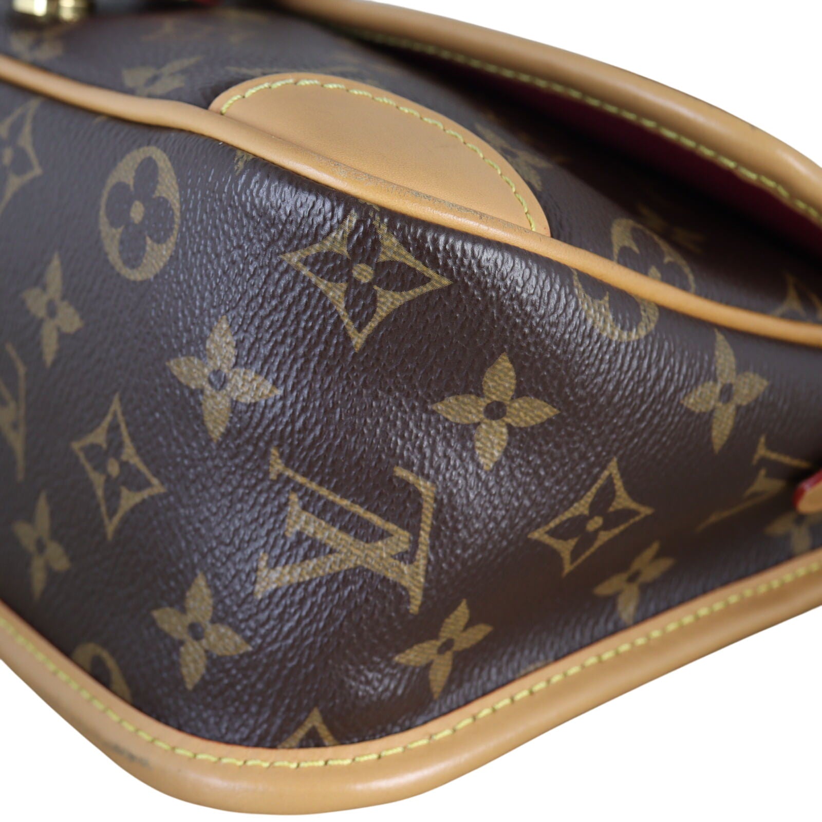 Louis Vuitton Diane Monogram_IMG_1830.jpeg