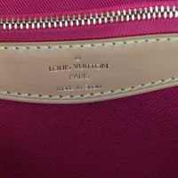 Louis Vuitton Diane Monogram_IMG_1833.jpg