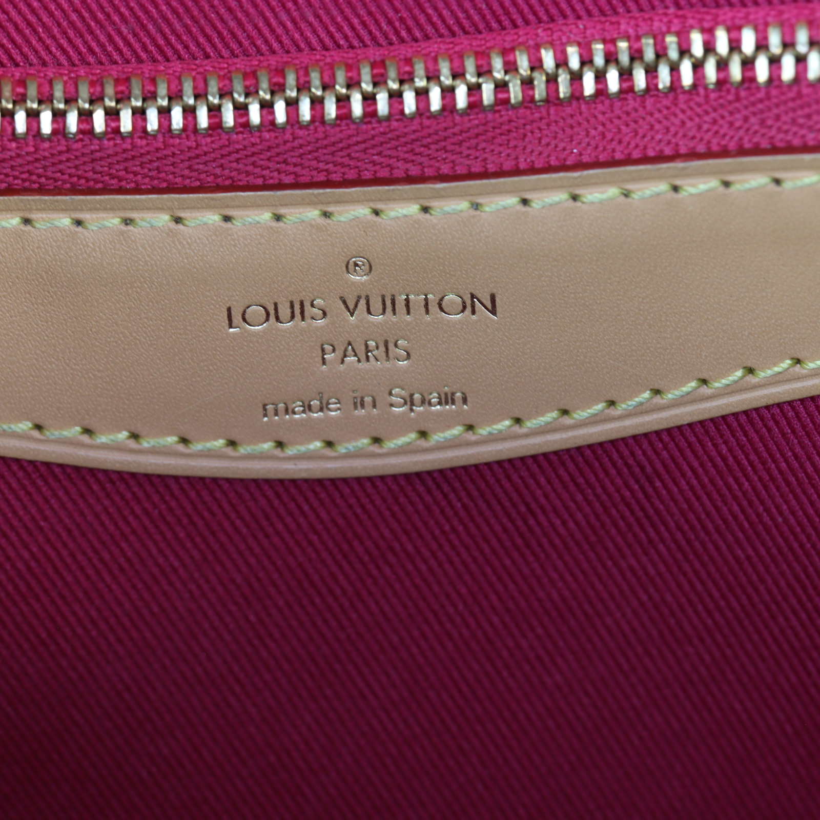 Louis Vuitton Diane Monogram_IMG_1833.jpg