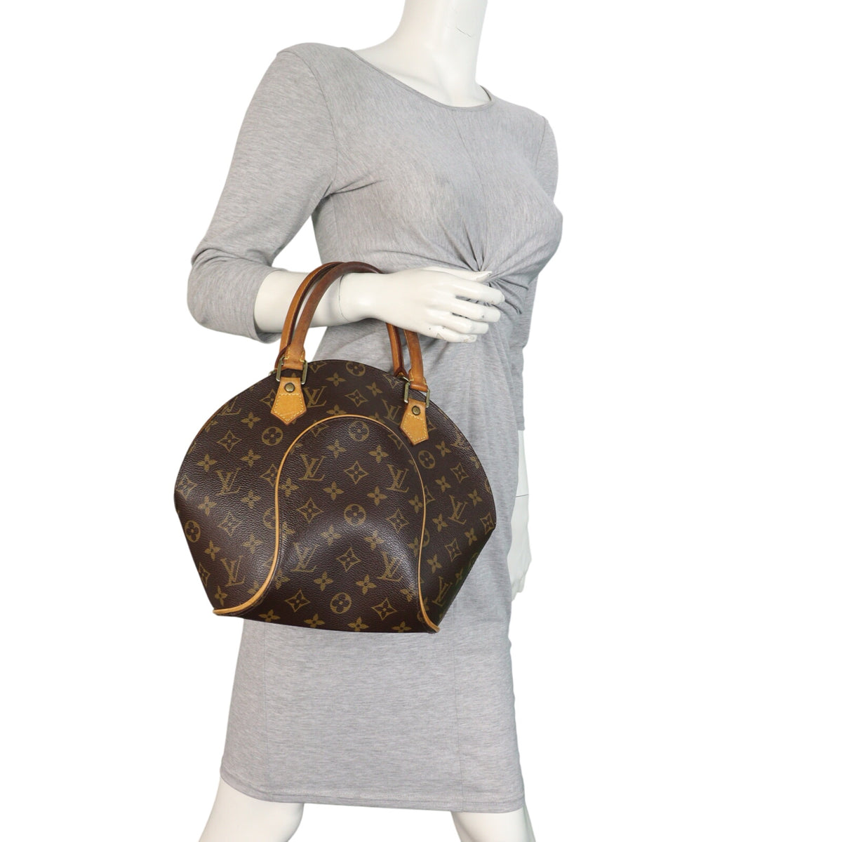 Louis Vuitton Ellipse PM Monogram_IMG_5376.jpeg
