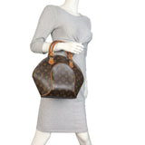 Louis Vuitton Ellipse PM Monogram_IMG_5783.jpeg