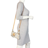 Louis Vuitton Eva Pochette Damier Azur_IMG_1175.jpeg