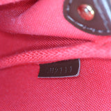 Louis Vuitton Eva Pochette Damier Ebene_IMG_2067.jpg
