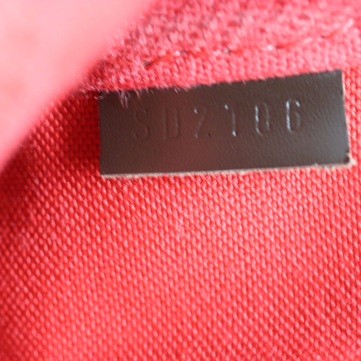 Louis Vuitton Favorite MM Damier Ebene_IMG_0426.jpg