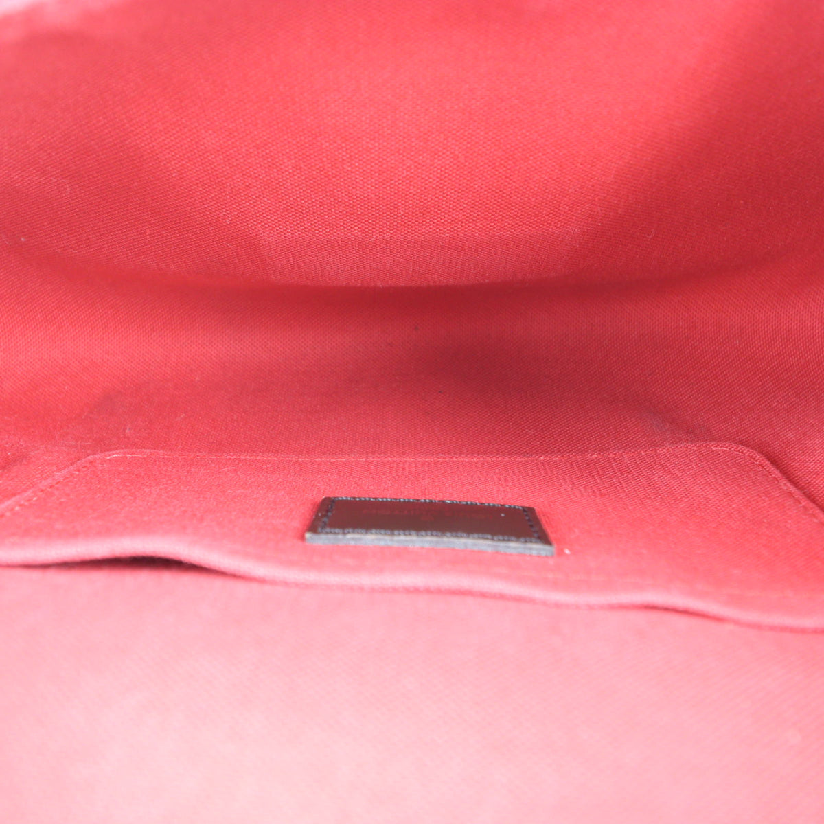 Louis Vuitton Favorite MM Damier Ebene_IMG_0427.jpg