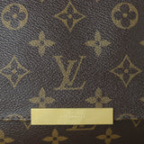 Louis Vuitton Favorite MM Monogram_IMG_8456.jpg