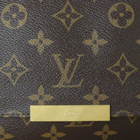 Louis Vuitton Favorite MM Monogram_IMG_8456.jpg