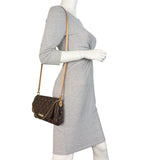 Louis Vuitton Favorite MM Monogram_IMG_8614.jpeg
