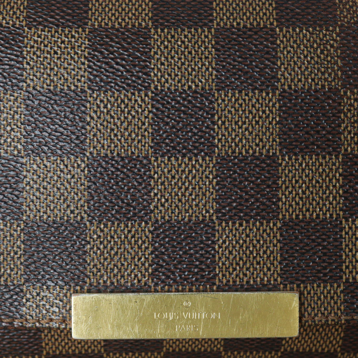 Louis Vuitton Favorite PM Damier Ebene_IMG_8352.jpg