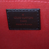 Louis Vuitton Favorite PM Damier Ebene_IMG_8354.jpg