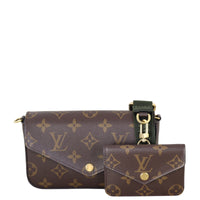 Louis Vuitton Felicie Strap & Go Monogram_IMG_2523.jpeg