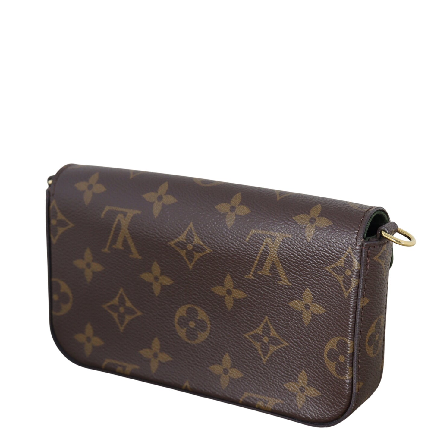 Louis Vuitton Felicie Strap & Go Monogram_IMG_2524.jpeg