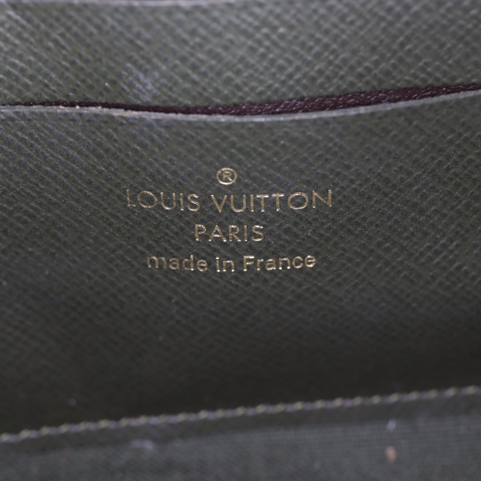 Louis Vuitton Felicie Strap & Go Monogram_IMG_2527.jpg
