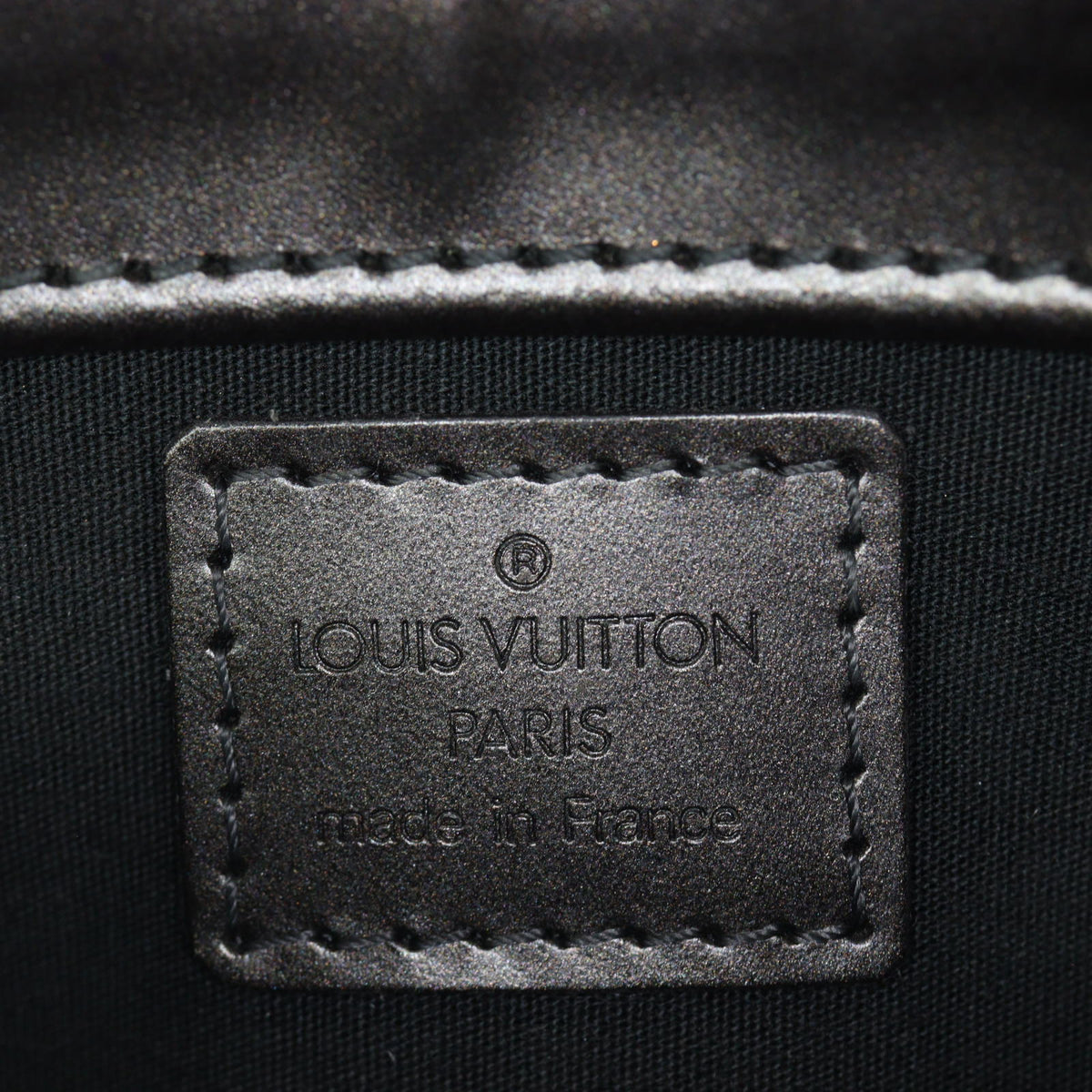 Louis Vuitton Fowler Monogram Matte_IMG_6067.jpg