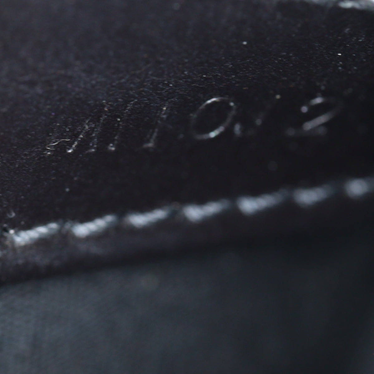 Louis Vuitton Fowler Monogram Matte_IMG_6071.jpg