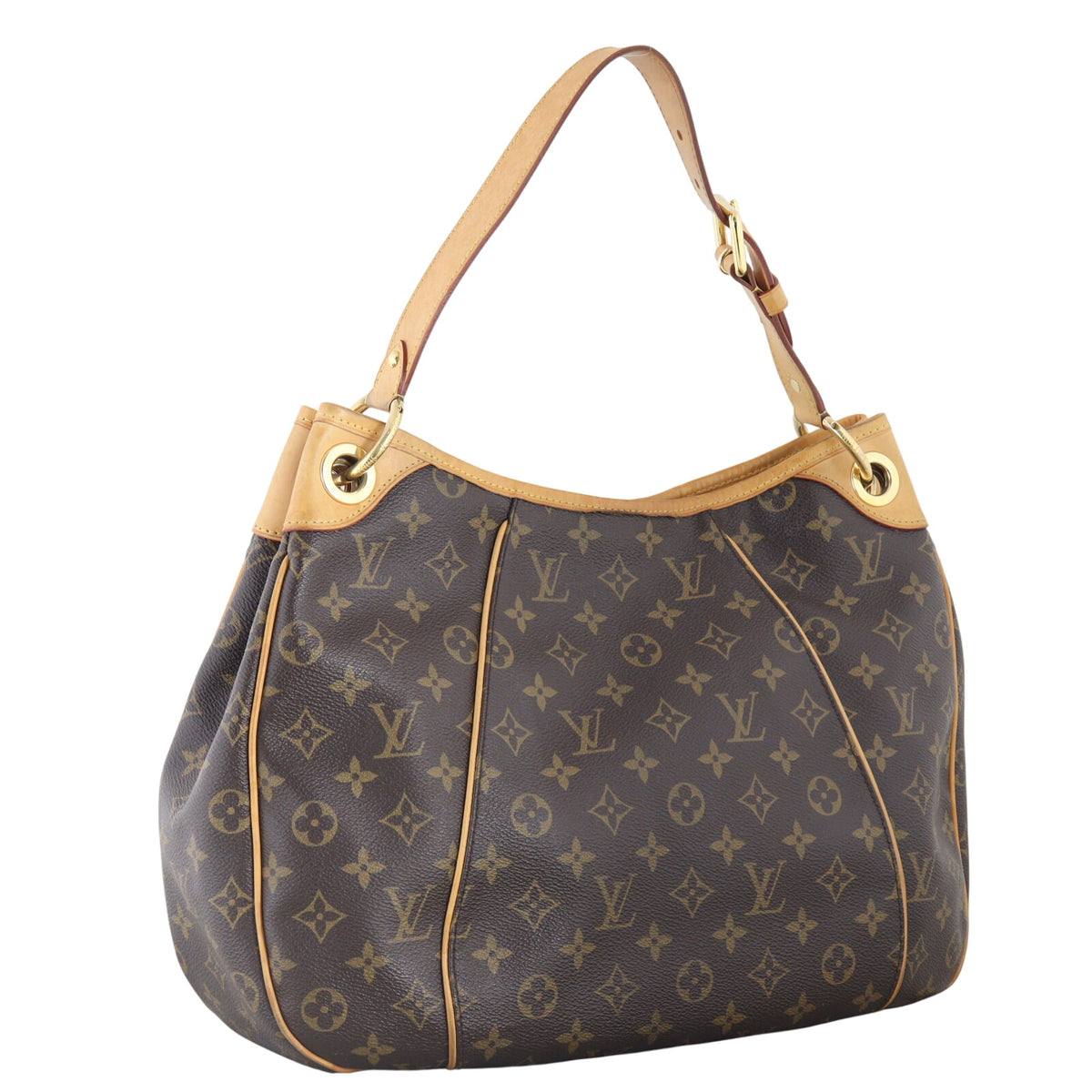 Louis Vuitton Galliera PM Monogram_IMG_0325.jpeg