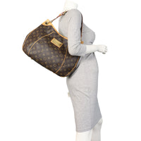 Louis Vuitton Galliera PM Monogram_IMG_0454.jpeg